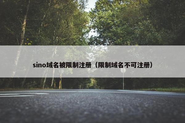 sino域名被限制注册（限制域名不可注册）