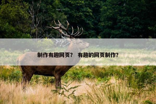 制作有趣网页？ 有趣的网页制作？