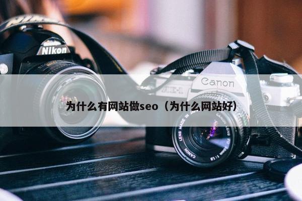 为什么有网站做seo（为什么网站好）