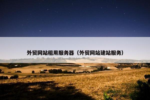 外贸网站租用服务器（外贸网站建站服务）