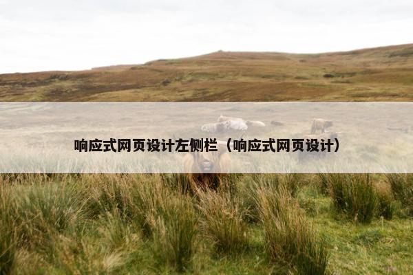 响应式网页设计左侧栏（响应式网页设计）