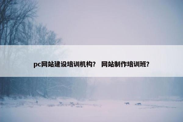 pc网站建设培训机构？ 网站制作培训班？