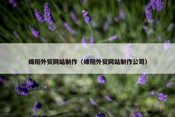 绵阳外贸网站制作（绵阳外贸网站制作公司）