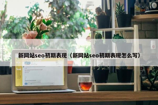 新网站seo初期表现（新网站seo初期表现怎么写）
