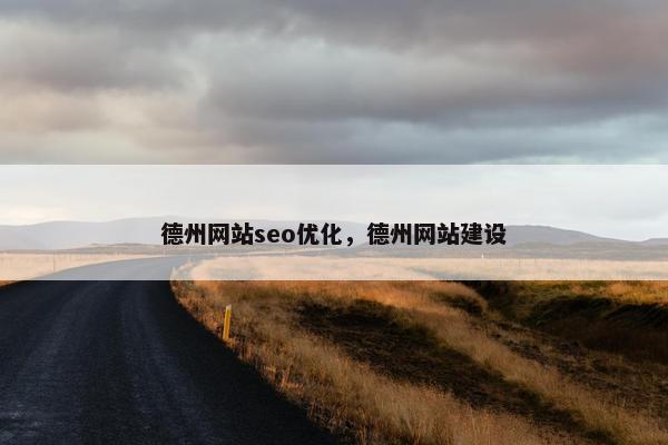 德州网站seo优化，德州网站建设