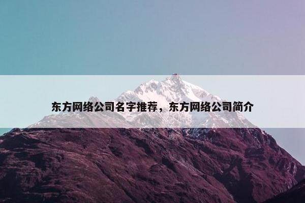 东方网络公司名字推荐，东方网络公司简介