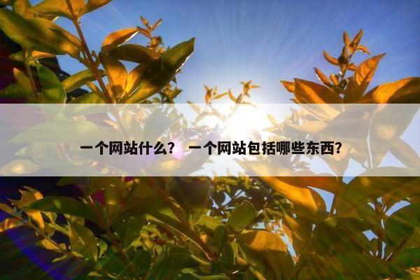 一个网站什么？ 一个网站包括哪些东西？
