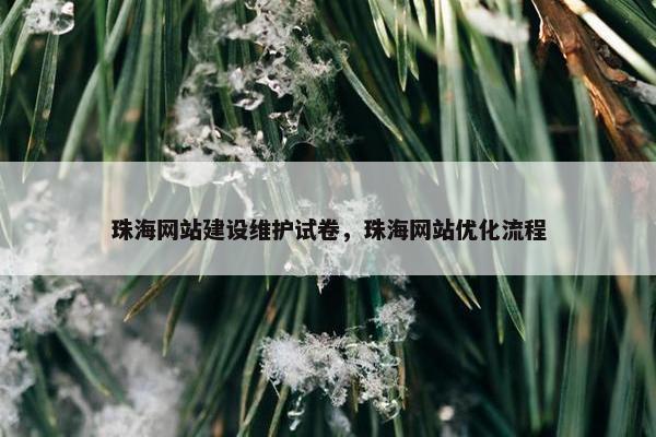 珠海网站建设维护试卷，珠海网站优化流程