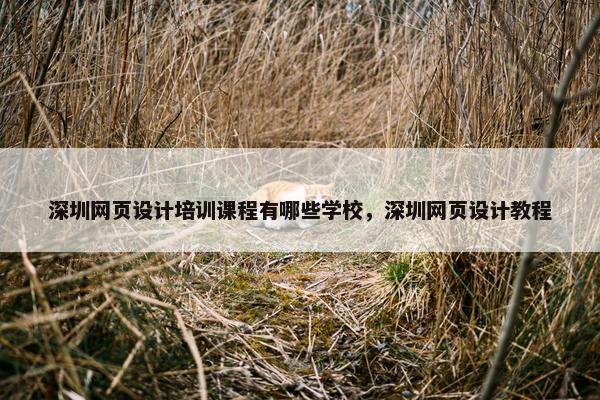 深圳网页设计培训课程有哪些学校，深圳网页设计教程