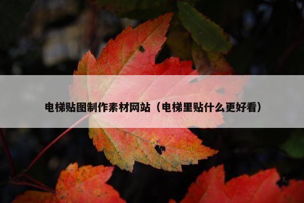 电梯贴图制作素材网站（电梯里贴什么更好看）