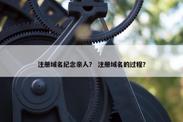 注册域名纪念亲人？ 注册域名的过程？