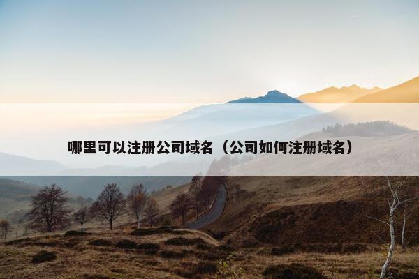 哪里可以注册公司域名（公司如何注册域名）