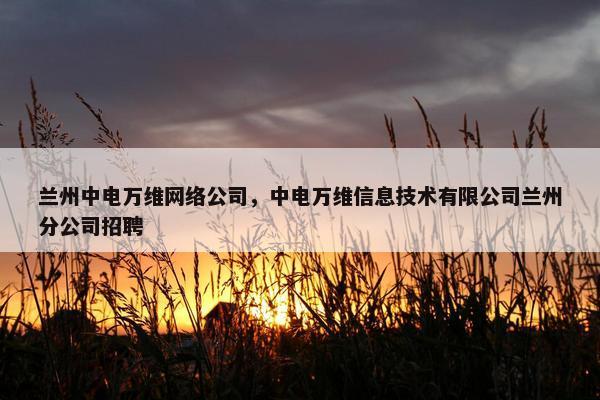 兰州中电万维网络公司，中电万维信息技术有限公司兰州分公司招聘