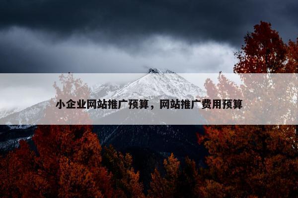 小企业网站推广预算，网站推广费用预算