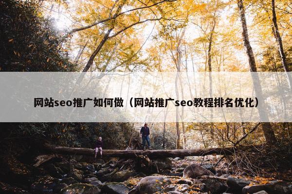 网站seo推广如何做（网站推广seo教程排名优化）
