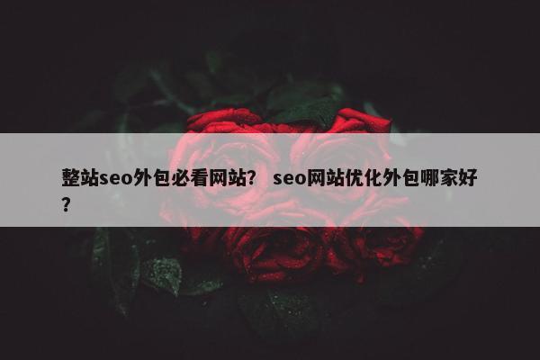 整站seo外包必看网站？ seo网站优化外包哪家好？