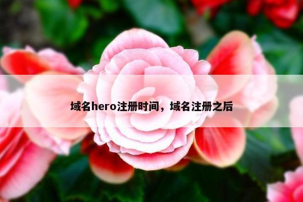 域名hero注册时间，域名注册之后