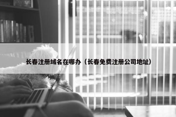 长春注册域名在哪办（长春免费注册公司地址）