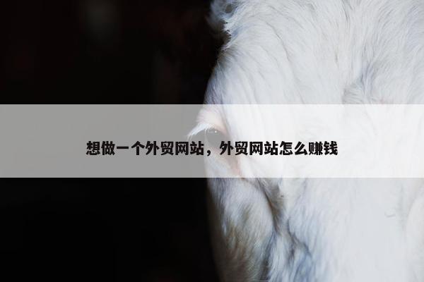想做一个外贸网站，外贸网站怎么赚钱