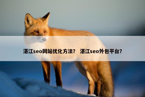 湛江seo网站优化方法？ 湛江seo外包平台？