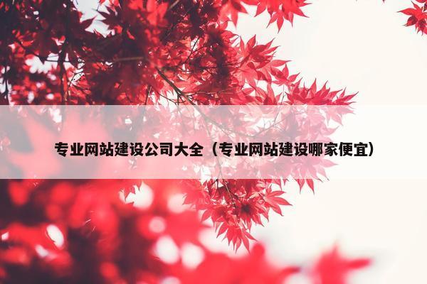 专业网站建设公司大全（专业网站建设哪家便宜）
