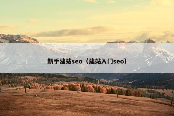 新手建站seo（建站入门seo）