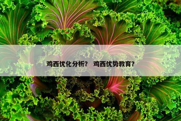 鸡西优化分析？ 鸡西优势教育？