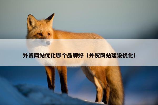 外贸网站优化哪个品牌好（外贸网站建设优化）