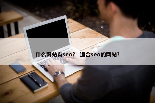 什么网站有seo？ 适合seo的网站？