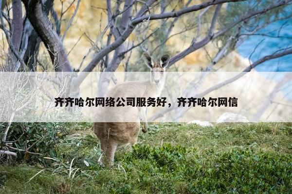 齐齐哈尔网络公司服务好，齐齐哈尔网信