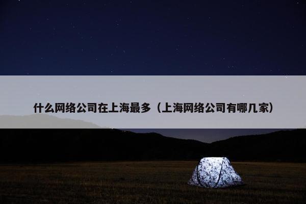 什么网络公司在上海最多（上海网络公司有哪几家）
