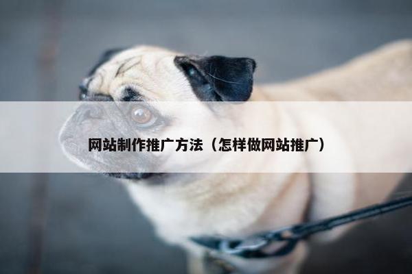 网站制作推广方法（怎样做网站推广）