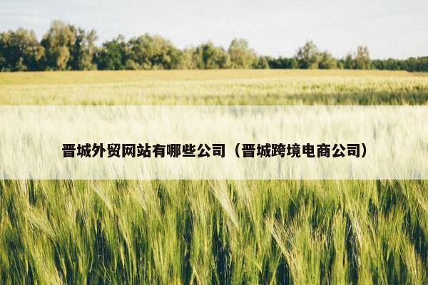 晋城外贸网站有哪些公司（晋城跨境电商公司）