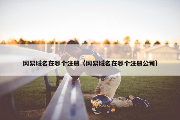 网易域名在哪个注册（网易域名在哪个注册公司）