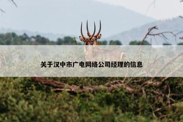 关于汉中市广电网络公司经理的信息