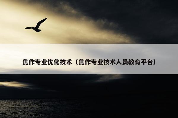焦作专业优化技术（焦作专业技术人员教育平台）