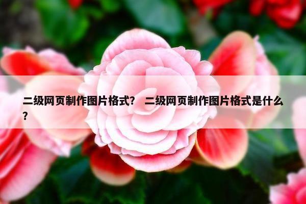 二级网页制作图片格式？ 二级网页制作图片格式是什么？