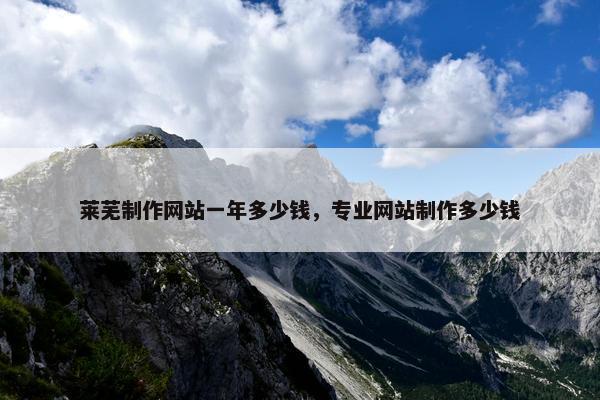 莱芜制作网站一年多少钱，专业网站制作多少钱