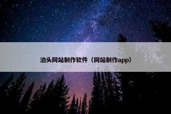 泊头网站制作软件（网站制作app）
