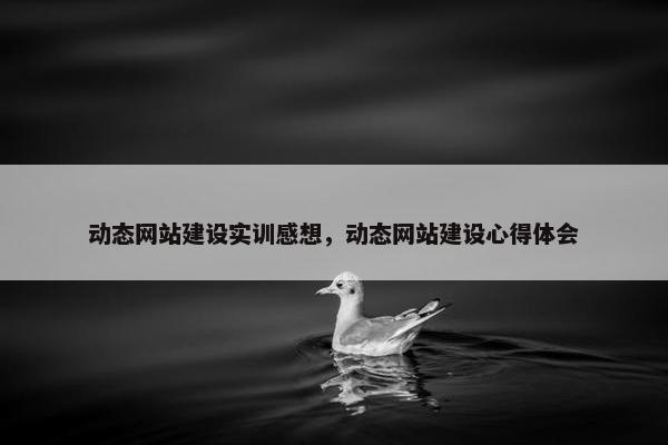 动态网站建设实训感想，动态网站建设心得体会