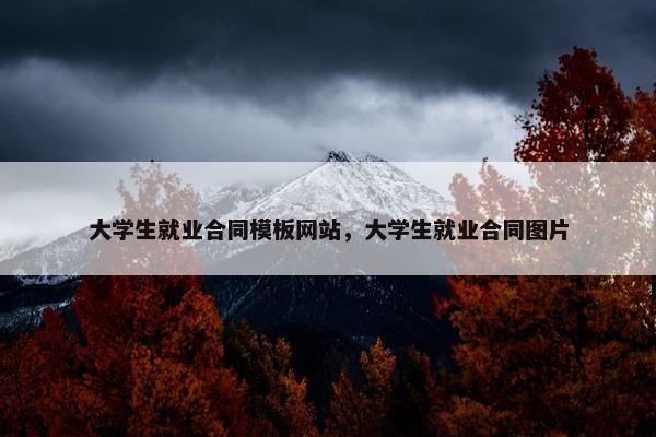 大学生就业合同模板网站，大学生就业合同图片