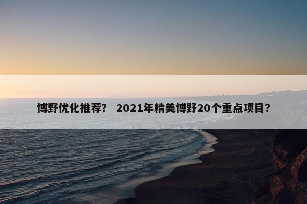 博野优化推荐？ 2021年精美博野20个重点项目？