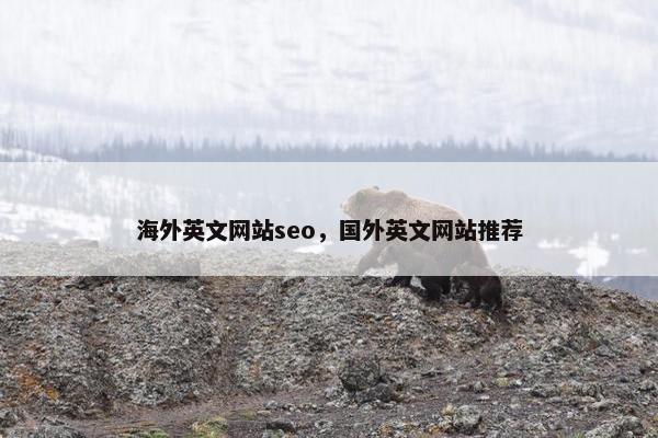海外英文网站seo，国外英文网站推荐