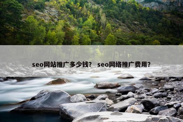 seo网站推广多少钱？ seo网络推广费用？