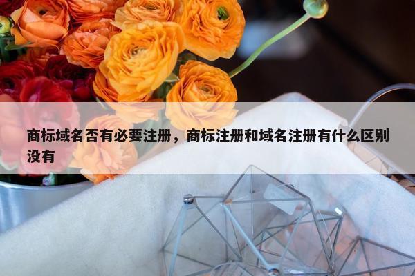 商标域名否有必要注册，商标注册和域名注册有什么区别没有