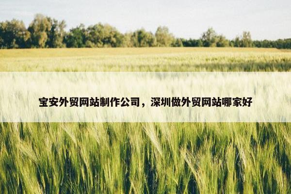 宝安外贸网站制作公司，深圳做外贸网站哪家好