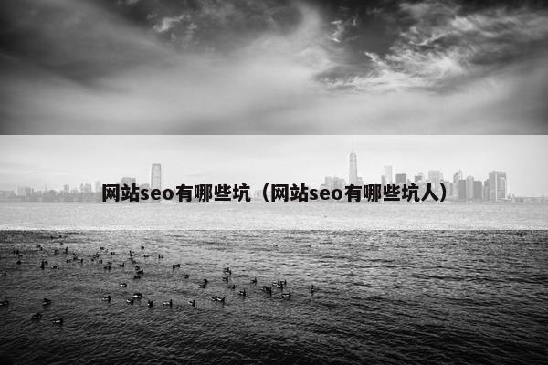 网站seo有哪些坑（网站seo有哪些坑人）