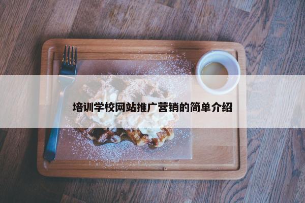 培训学校网站推广营销的简单介绍