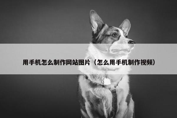 用手机怎么制作网站图片（怎么用手机制作视频）