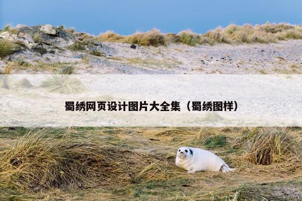 蜀绣网页设计图片大全集（蜀绣图样）